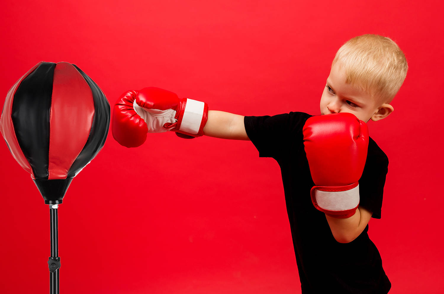 a little boy boxer in red boxing gloves stands making a punch on a red background with space for text