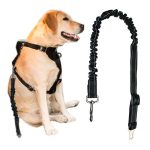 Hamhoz-csatlakoztathato-biztonsagi-ov-kutyaknak-BB6230-3